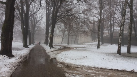 stadtpark-klagenfurt_walter-pobaschnig-2_17