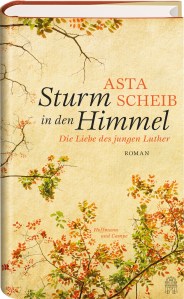 sturm-in-den-himmel_hoffmann-und-campe