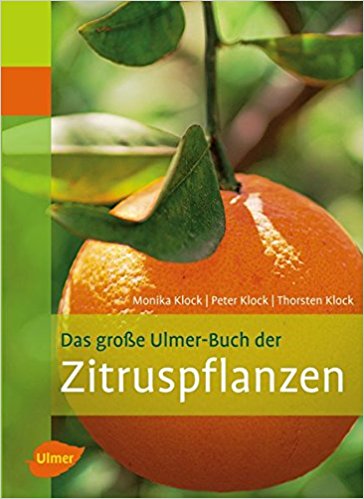 Zitruspflanzen _ Ulmer Cover