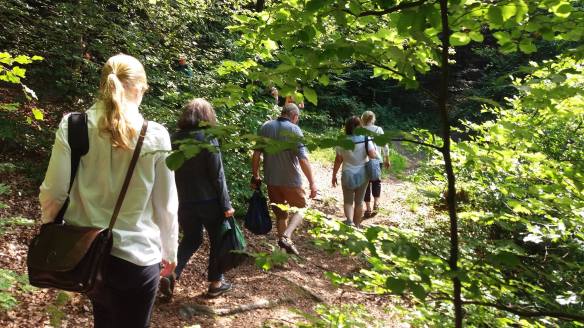 19944186_242566432916598_4696536854816365898_o