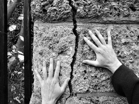 IMG_20191122_100628a