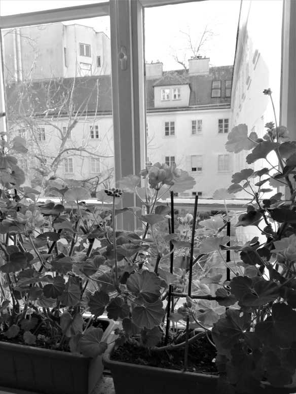 IMG_20200102_120923a