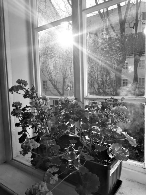 IMG_20200102_130656a