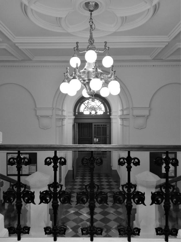 IMG_20200610_142833_1koi