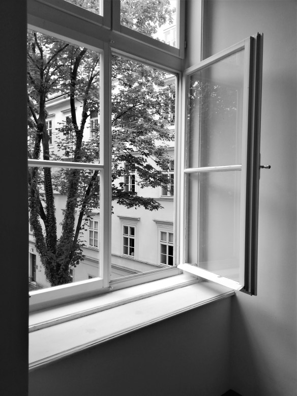 IMG_20200610_143857lo0