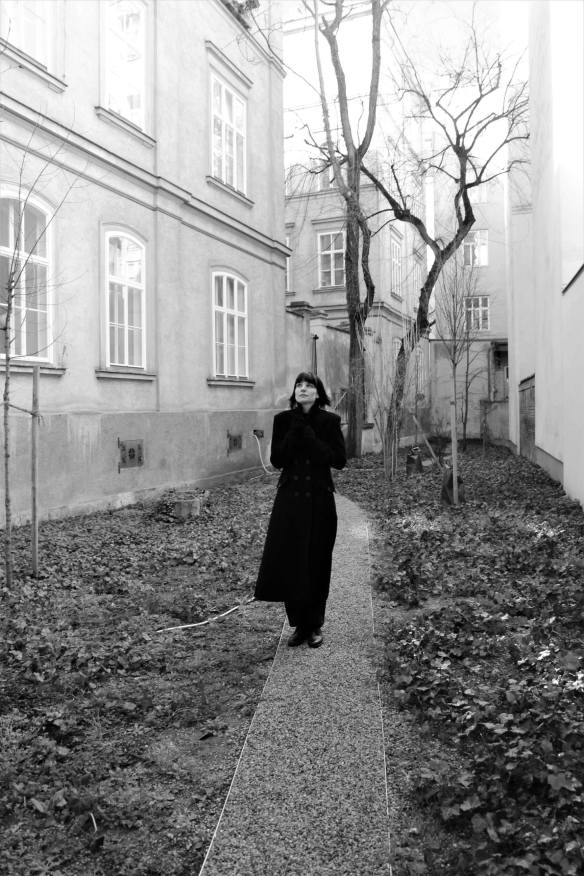 87652014_202623997607007_3075790934395322368_n