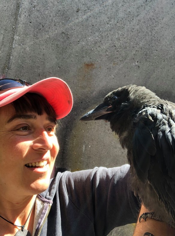 117309588_674663786593461_7494154295216370473_n