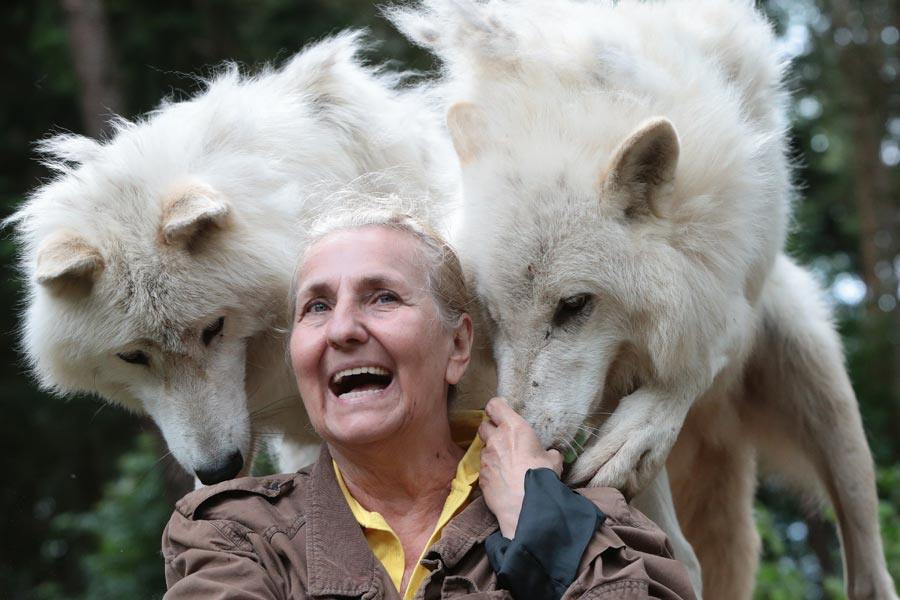 119961736_2800027773574996_3510483025379157766_n